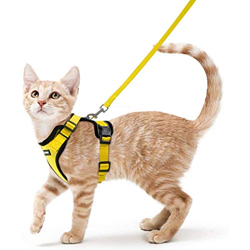 rabbitgoo Arnes Gato Antiescape,Arnés para Gato con Correa 150cm Arnes Gato Ajustable con Reflectantes de Tela de Malla Suave y Transpirable para Caminar,Entrenar,Gato Mediano y Pequeño XS Amarillo