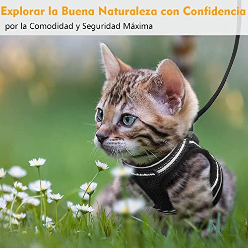 rabbitgoo Arnes Gatos y Correa 150cm Chaleco Ajustable Antitirones Reflectante Cómodo Correa Mágica para Fácil de Poner y Quitar para Paseo Diario Arnes para Perro Pequeño Conejos Gatos M Negro