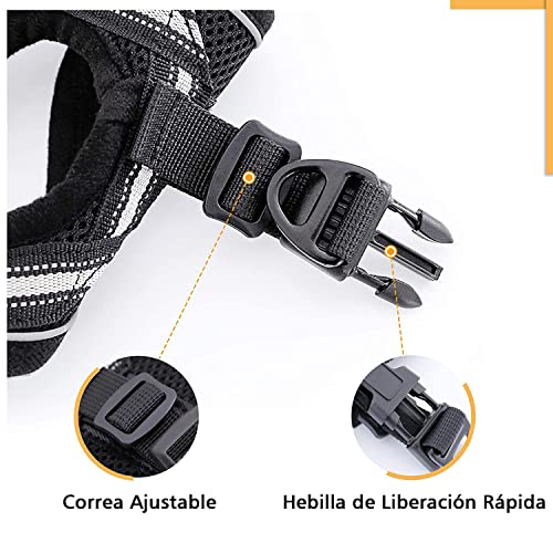 rabbitgoo Arnes Gatos y Correa 150cm Chaleco Ajustable Antitirones Reflectante Cómodo Correa Mágica para Fácil de Poner y Quitar para Paseo Diario Arnes para Perro Pequeño Conejos Gatos M Negro