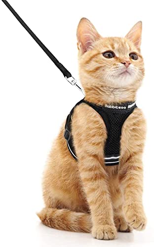 rabbitgoo Arnes Gatos y Correa 150cm Chaleco Ajustable Antitirones Reflectante Cómodo Correa Mágica para Fácil de Poner y Quitar para Paseo Diario Arnes para Perro Pequeño Conejos Gatos M Negro