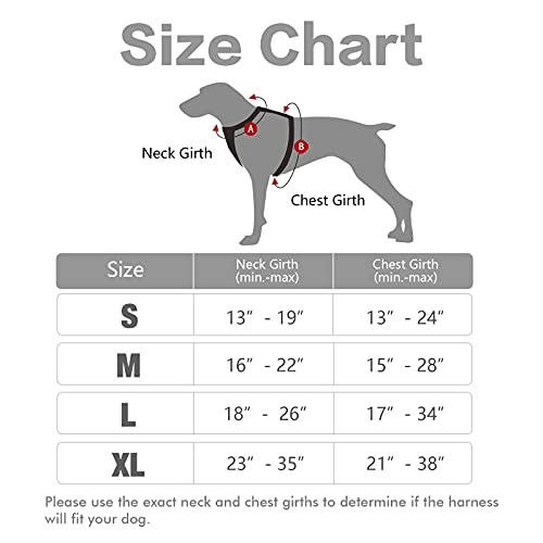 rabbitgoo Arnes Perro Grande Mediano Pequeño Arnés Pecho Antitirones Perros Coche con Lineas Reflecantes Cómodo Transpirable Chaleco Acolchado Ajustable para Adiesreamiento Correr Tamaño S Gris