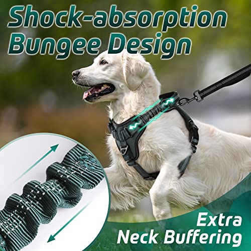 rabbitgoo Arnes Perros Arnés Chaleco Antitirones para Perros Grandes y Medianos con Correas Elásticas para Absorber Golpes Ajustable para Caminar con Asa de Fácil Control Reflectante, Verde Olivo M