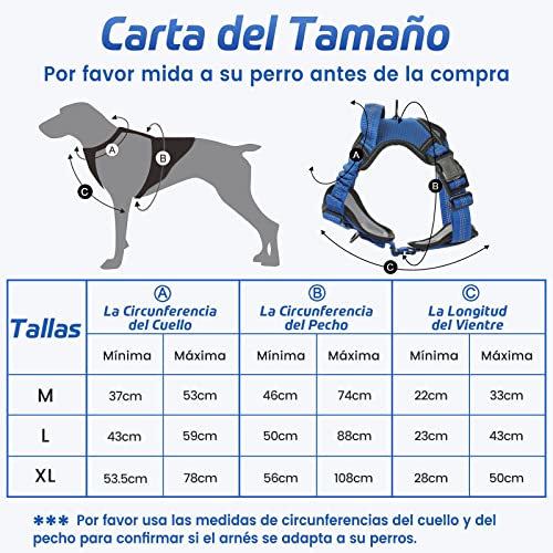 rabbitgoo Arnes Perros Arnés Chaleco Antitirones para Perros Grandes y Medianos con Correas Elásticas para Absorber Golpes Ajustable para Caminar con Asa de Fácil Control Reflectante, Azul M