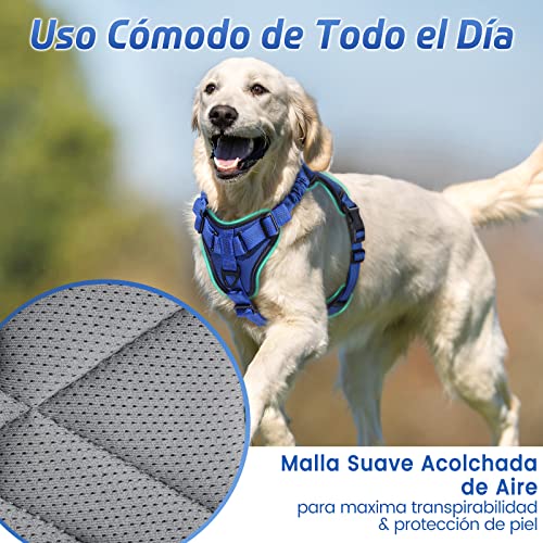 rabbitgoo Arnes Perros Arnés Chaleco Antitirones para Perros Grandes y Medianos con Correas Elásticas para Absorber Golpes Ajustable para Caminar con Asa de Fácil Control Reflectante, Azul M