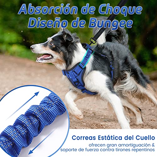 rabbitgoo Arnes Perros Arnés Chaleco Antitirones para Perros Grandes y Medianos con Correas Elásticas para Absorber Golpes Ajustable para Caminar con Asa de Fácil Control Reflectante, Azul M