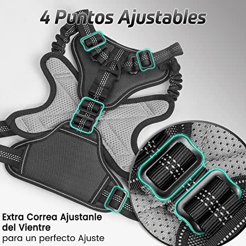 rabbitgoo Arnes Perros Arnés Chaleco Antitirones para Perros Grandes y Medianos con Correas Elásticas para Absorber Golpes Ajustable para Caminar con Asa de Fácil Control Reflectante, Negro M