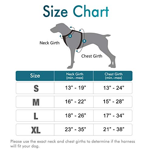 rabbitgoo Arnes Perros Grande Mediano Pequeño Arnés Pecho Antitirones Perros Coche con Lineas Reflectantes Cómodo Transpirable Chaleco Acolchado Ajustable para Adiesreamiento Tamaño S Verde Oscuro