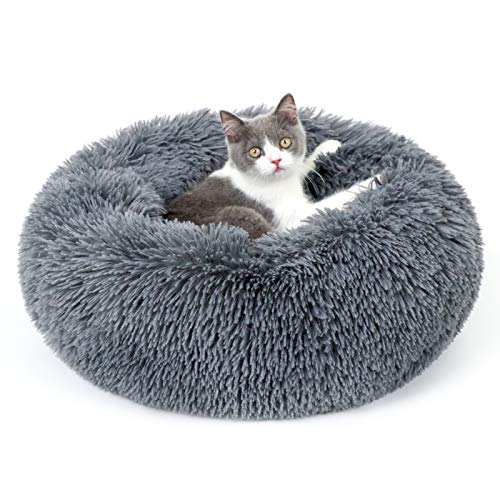 rabbitgoo Cama Gato Perro Antiestres, Cama para Gatos Relajante Cama de Gato con Felpa Suave, Cama Mascota para Dormir Mejor, Antideslizante, Lavable a Máquina (60x60cm, Gris Oscuro)