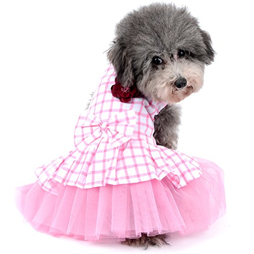 Ranphy - Vestido de tutú para perro o gato, con diseño de flor y lazo. Tallas XS a XL, para perros pequeños.