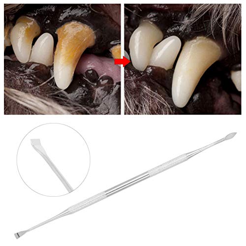 Raspador de piedra Dental para dientes de mascotas de 6,7 pulgadas, bolígrafo de limpieza de dientes de perro de acero inoxidable, removedor de sarro de dientes de mascota de alta resistencia