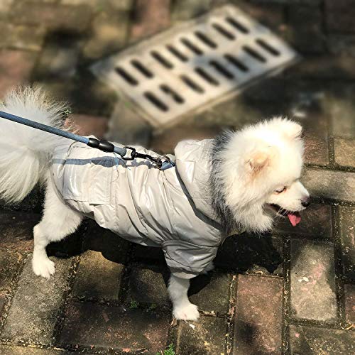 RC GearPro Chaqueta con Capucha para Mascotas Perro Abrigo de Invierno cálido a Prueba de Viento Mantenga Ropa Abrigada para Perros (L, Gris)