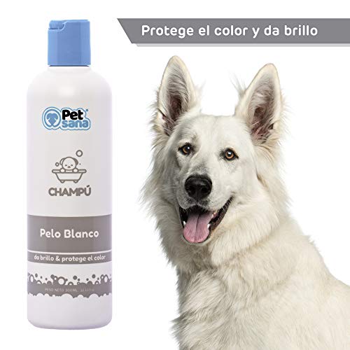 Rc ocio Champu Perro Pelo Blanco intensificador de Color Brillo Espectacular para Razas como Caniche, West Highland Terrier, Sky Terrier para Perros con Tonos claros