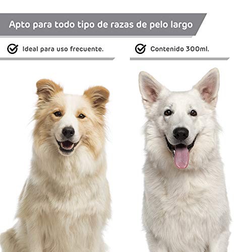 Rc ocio Champu Perro Pelo Blanco intensificador de Color Brillo Espectacular para Razas como Caniche, West Highland Terrier, Sky Terrier para Perros con Tonos claros