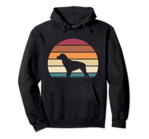 Retro Vintage Sunset Dog Pet Lover Epagneul Breton Brittany Sudadera con Capucha