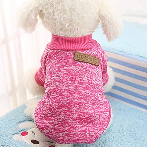 RFDFG Invierno Caliente Algodón Mascota Perro Sudaderas Sudadera Mascota Abrigo Chaqueta Ropa roupas para Cachorro Para Perros Pequeños XS-XXL 9 Colores, Azul, XL