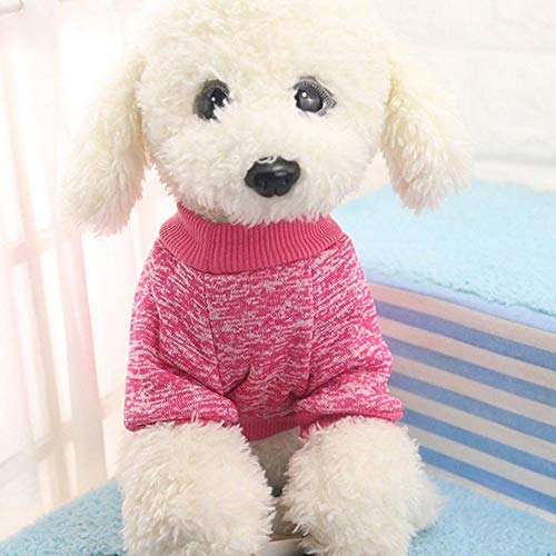 RFDFG Invierno Caliente Algodón Mascota Perro Sudaderas Sudadera Mascota Abrigo Chaqueta Ropa roupas para Cachorro Para Perros Pequeños XS-XXL 9 Colores,Púrpura,S