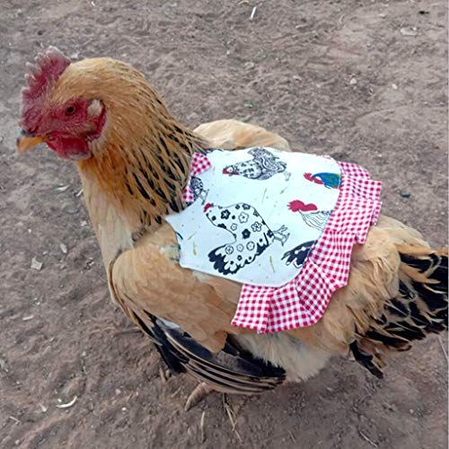 RG-FA - Delantal de pollo, diseño de plumas y alas para proteger la espalda