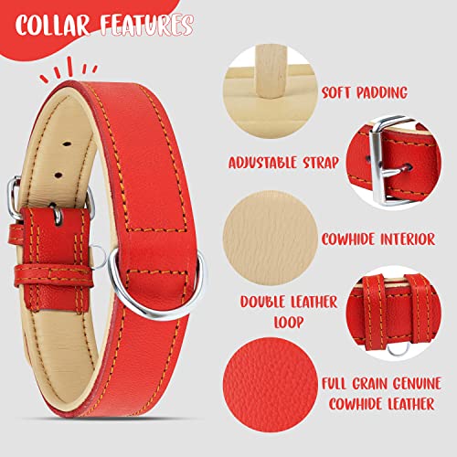 Riparo Collar de perro acolchado de cuero genuino Collar de mascota ajustable K-9 fuerte (XL: 4,5cm de ancho para cuello de 55,9cm - 63,5cm, Rojo)