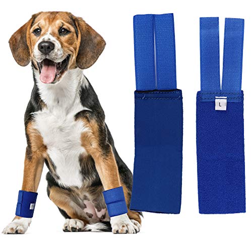 Rodillera para mascotas, 2PCS/Set Tirantes para las piernas delanteras del perro Carpal Support Pet Wrist Guard para perros con artritis y lesiones(L-Pata delantera azul)