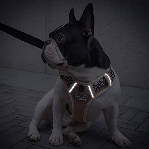 rongxin Arnés para Perros sin tirones, Chaleco Reflectante para Perros, arnés Ajustable y Transpirable para Mascotas, Adecuado para Perros pequeños y Grandes, Entrenamiento para Correr al Aire Libre