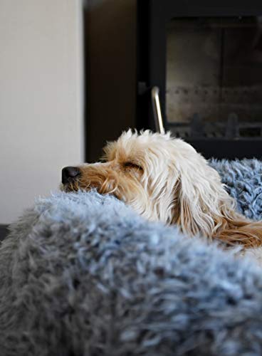 Rosewood Cama pequeña para Perros, Gatitos y Cachorros. Lavable a máquina, Muy Suave y acogedora, Cama Redonda para Perros de 52 x 52 x 14 cm.