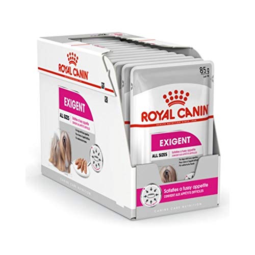 ROYAL CANIN Alimento húmedo Exigent para Perros con Apetito Exquisito, Textura Paté, Caja Completa 12 Sobres x 85 gr