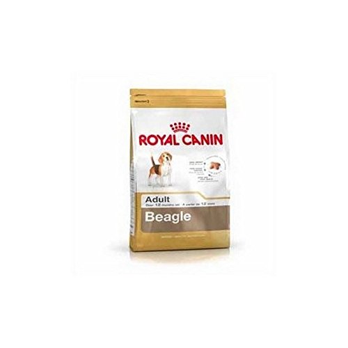 ROYAL CANIN Beagle (12 kg) (Pack de 4)