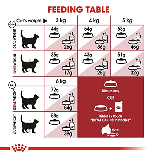 Royal Canin C-58520 Fit - 400 gr