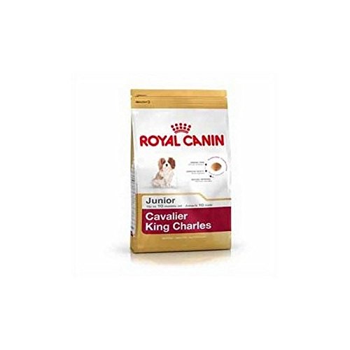 Royal Canin Cavalier King Charles Junior (1,5 kg) (Pack de 4)