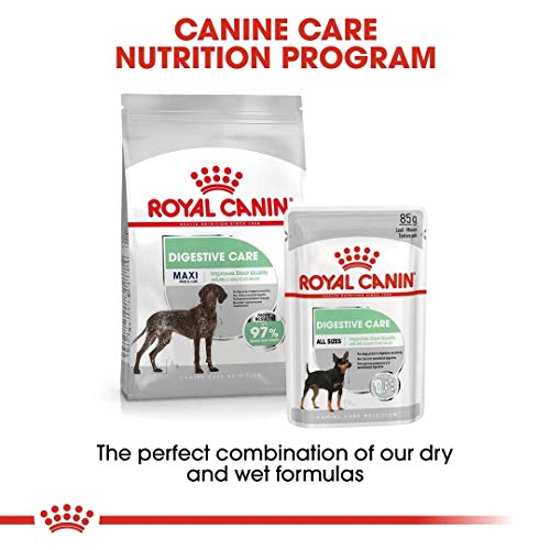 ROYAL CANIN CCN Maxi Digestive Care 10000 g