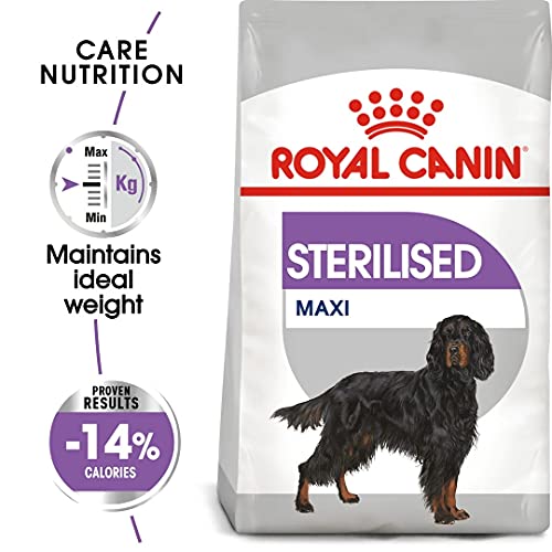 ROYAL CANIN CCN Maxi Sterilised 9kg 9000 g