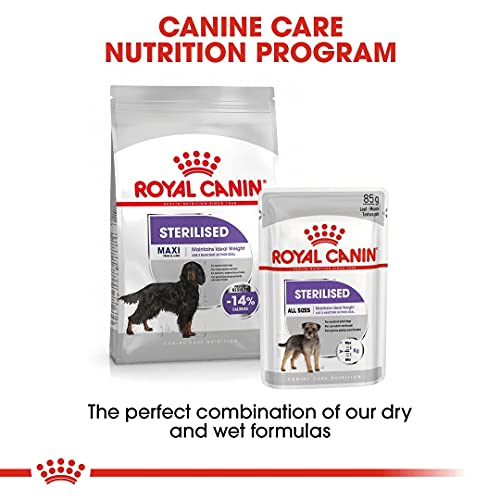 ROYAL CANIN CCN Maxi Sterilised 9kg 9000 g