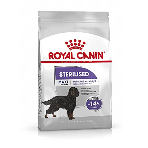 ROYAL CANIN CCN Maxi Sterilised 9kg 9000 g