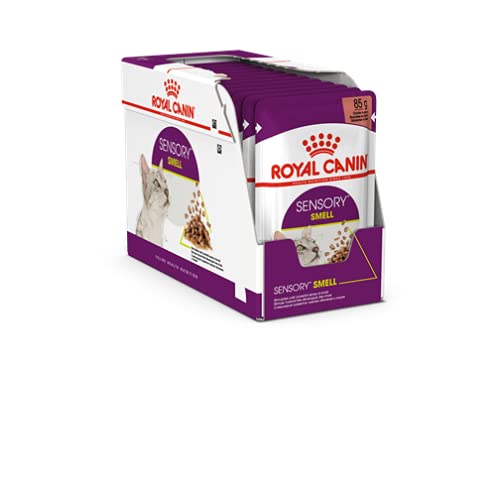 Royal Canin Comida húmeda Sensory Smell en jalea para gatos exigentes, 12 x 85 g