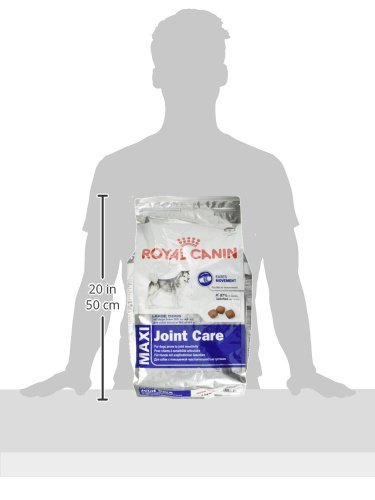 Royal Canin Comida para perros Maxi Joint Care 3 Kg