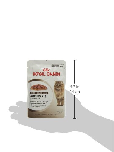 ROYAL CANIN Feline Ageing 12 Jelly - 85 gr