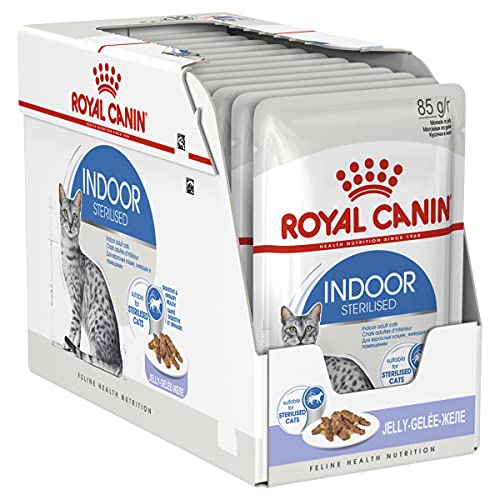 ROYAL CANIN Indoor Sterilised Gatos, Bocaditos en Gelatina, Caja 12 x 85 gr