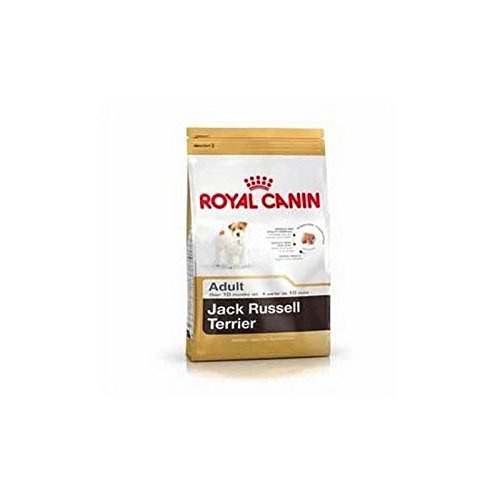 Royal Canin Jack Russell (7,5 kg) (Pack de 6)