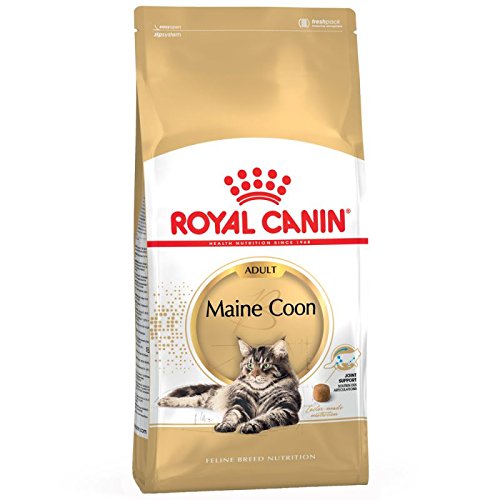 Royal Canin Maine Coon 10 kg