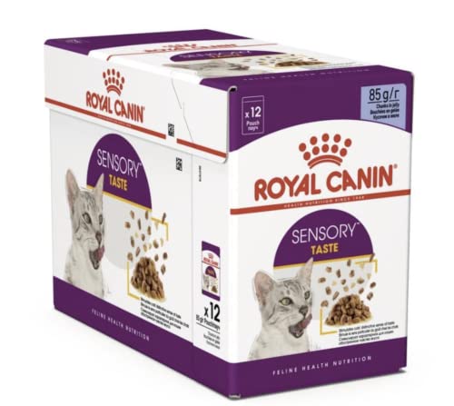 Royal Canin Sensory Taste Comida húmeda en jalea para gatos exigentes, 12 x 85 g