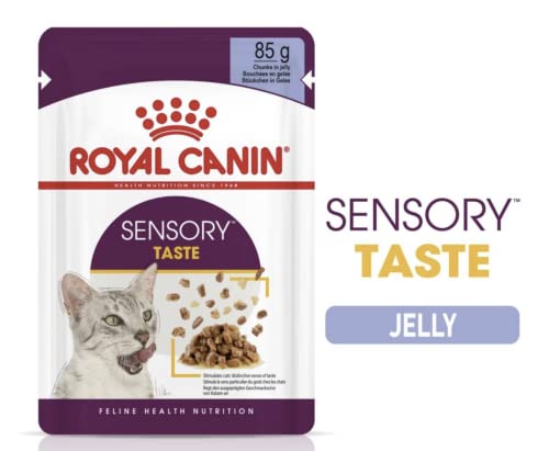 Royal Canin Sensory Taste Comida húmeda en jalea para gatos exigentes, 12 x 85 g