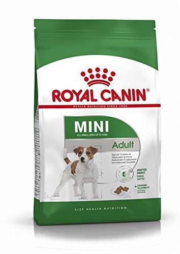 RoyalCanin Mini Adult. Comida para Perros de Razas Pequeñas y Toys | Pienso Gastrointestinal con Gran Sabor que Controla el Peso, Elimina el Sarro Dental y Mantiene el Pelo y la Piel Saludables (8 KG)