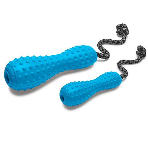 RUFFWEAR Chew-Resistant Rubber Dog Toy with Rope Handle, Size: Large, Metolius Blue, Gourdo, 60301-425L