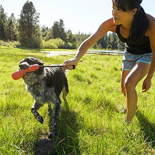 RUFFWEAR Chew-Resistant Rubber Dog Toy with Rope Handle, Size: Large, Metolius Blue, Gourdo, 60301-425L