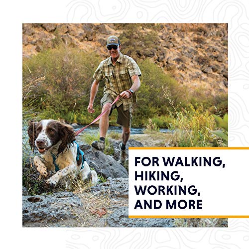 RUFFWEAR Web Master Arnés para Perros Multiusos, entornos difíciles, Perros de Trabajo, Razas Muy pequeñas, Ajuste Ajustable, tamaño: X-Small (43-56 cm / 17-22 in), Twilight Grey