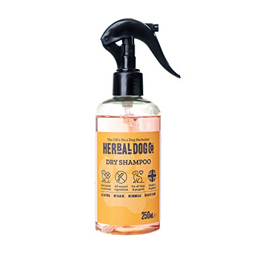 Ruibarbo y rosa | Champú seco natural | Perro y Cachorro | Fórmula sin agua | Práctico y conveniente | 250 ml | Seguro y suave | Hipoalergénico | PH equilibrado