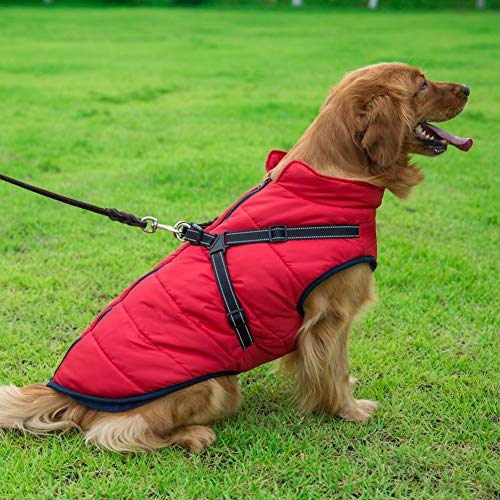 Ruipunuosi Chaqueta para Perro Chaleco de Invierno 2 en 1 Pet Otoño Invierno Traje de esquí Chaleco Acolchado de algodón sin Mangas con Correa para el Pecho Abrigo de arnés para Perros