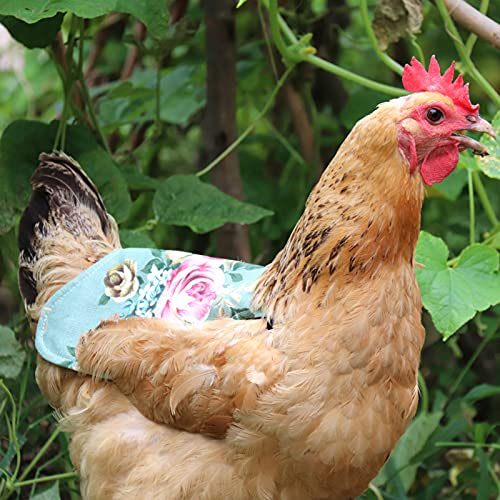 Ruiqas Sillines de pollo 5 piezas, Delantales de gallina suave protector de plumas con correas elásticas para ala y plumas