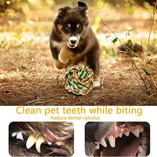 SaiXuan Juguetes para Perros,10PC Cuerda de Juguete para Masticar para Perros, Juguetes de dentición,Juguetes para Perros pequeños a medianos