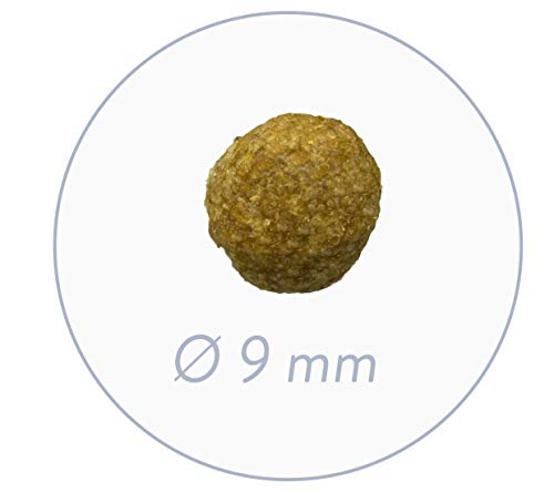 Sanabelle No Grain | con Aves De Corral | Sin Cereales | Comida Seca para Gatos Adultos Nutricionalmente Sensibles 2500 g